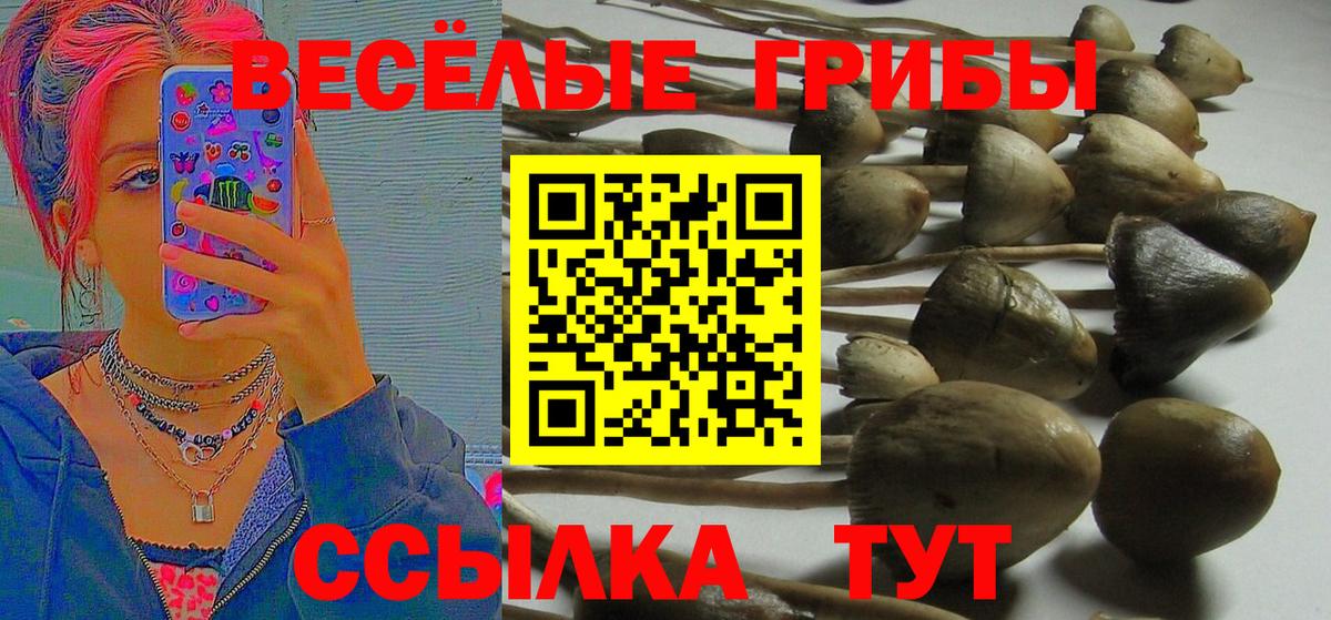 Галлюциногенные грибы мицелий Мыски