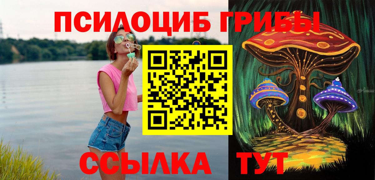 Галлюциногенные грибы Psilocybe  Вход с VPN  Мыски 